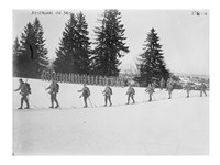 Austrians on Skis Fine Art Print