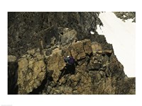 High angle view of a person mountain climbing, Ansel Adams Wilderness, California, USA Fine Art Print