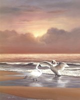 Ocean Sunset Fine Art Print