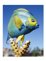 Fish carving, Florida Keys Fine Art Print