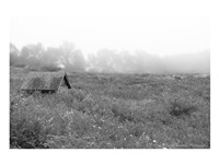 In the Fog by Delaney Flanders - various sizes