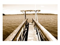 View From The Gulls Nest Fine Art Print