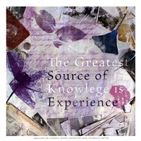 Source of Experience - mini Framed Print