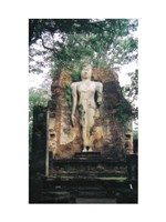 Standing Buddha Wat Phra Si Iriyabot Fine Art Print