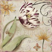 Tulipa I Fine Art Print