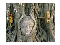 Buddha head in tree roots, Wat Mahathat, Ayutthaya, Thailand Fine Art Print