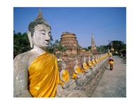 Line of Buddha Statues, Wat Yai Chai Mongkhon, Ayutthaya, Thailand Fine Art Print