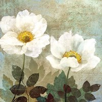 Anemone II Fine Art Print