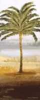 Beach Palm II by Michael Marcon - 8" x 20", FulcrumGallery.com brand