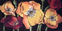 Dazzlin poppies II Fine Art Print
