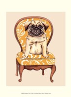 Pampered Pet I Fine Art Print