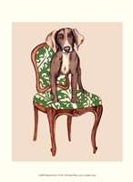 Pampered Pet IV Fine Art Print