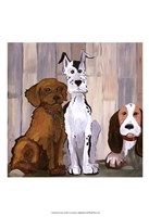 Sit & Stay I Fine Art Print