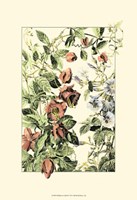 Wildflower Field II Fine Art Print