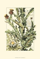 Wildflower Field IV Fine Art Print