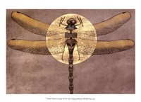 Full Moon Serenade I Fine Art Print