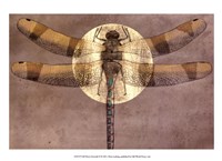 Full Moon Serenade II Fine Art Print