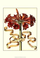 Ribbon Florals I Framed Print