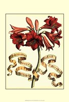 Ribbon Florals II Framed Print