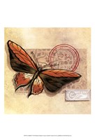 Le Papillon II Framed Print