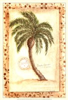 Licuala Grandis Palm Fine Art Print