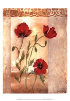 Red Poppies IV Fine Art Print