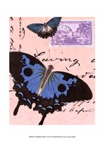 Le Papillon Script V Fine Art Print