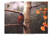 Bluebird Rain Fine Art Print