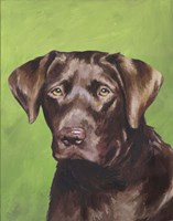 Dog Portrait-Chocolate Fine Art Print