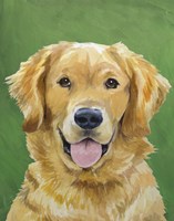 Dog Portrait-Golden Fine Art Print