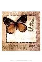 Butterfly Notes V Fine Art Print