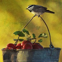 Apples & Chickadee Fine Art Print