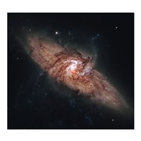 Galactic Silhouettes Fine Art Print