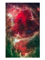 Generations of Stars Fine Art Print