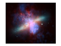 Chandra Spitzer Fine Art Print