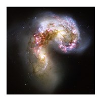 The Antennae Galaxies in Collision Fine Art Print