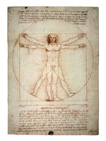 Vitruvian Man Fine Art Print