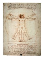 Vitruvian Man Framed Print
