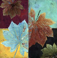 colorful maple I by Patricia Pinto - 18" x 18"