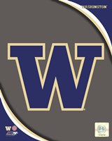 University of Washington Huskies Team Logo Fine Art Print