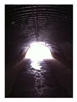 D&R Canal Towpath Tunnel Fine Art Print