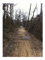 The Path Ahead Fine Art Print