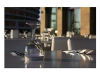 Table Appointments Fine Art Print