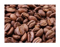 Roasted Coffee Beans - various sizes - $17.49