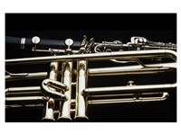 Close - up of a Clarinet and a Trumpet Fine Art Print