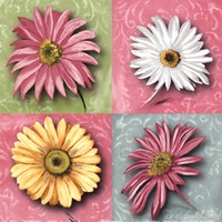 Blooming Collection II by Nelly Arenas - 12" x 12"