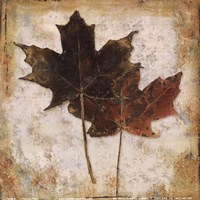 Natural Leaves IV by Patricia Pinto - 6" x 6"