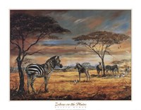 Zebras on the Plains by Elvira Duran - 28" x 22"