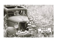 Rust In Peace Fine Art Print