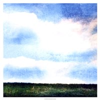 Bright Field III by Ingrid Blixt - 19" x 19" - $27.99